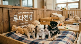 루다켄넬