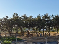 광태농장