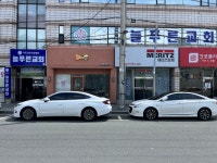 늘푸른교회