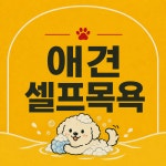 이보시개 신나개 놀아보개