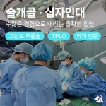 24시 아프리카동물병원