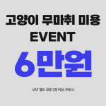 우다닥 고양이호텔 미용