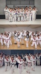푸르미르익스트림태권도장