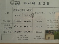 마이펫강아지애견유치원호텔미용
