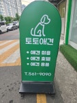 토토애견