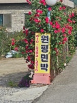 원평민박