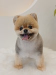 퐁키살롱