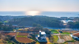 더블루네스