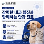 백현동물병원