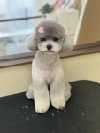 멍스터
