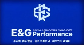 이엔지퍼포먼스