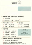 예뻐질고양