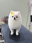 동글댕글