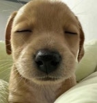 북해도목장 철산점