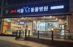 24시 서울YES동물병원