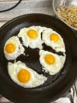 쌍백농장
