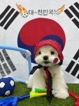 털로덮인친구들 오산점