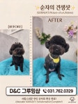 D&C그루밍샵
