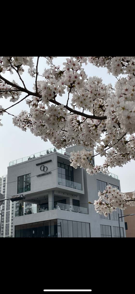 겸하당 사진