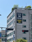 다이아나뷰티