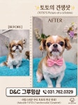 D&C그루밍샵
