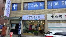 별빛물고기