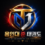 용인대준태권도
