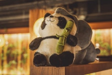 우후죽순 범계역점
