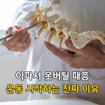 라이프케어PT