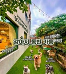 아지브런치