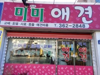 미미애견