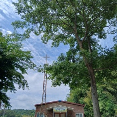 단목교회