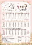 꽃보다멍