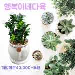 행복이네다육