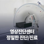 24시 라움동물의료센터