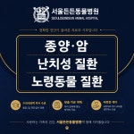 서울든든동물병원 인천