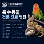 서울든든동물병원 인천