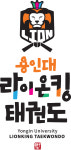 용인대라이온킹태권도