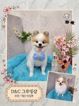 D&C그루밍샵