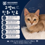 서울든든동물병원 인천