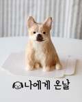 나에게 온날