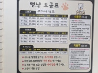 멍냥싸롱