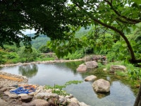 황금민박