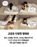 아이몽 애견유치원 본점