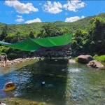황금민박