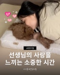 아이몽 애견유치원 본점