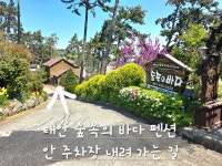 태안 숲속의바다 스파 펜션