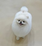 피크몽