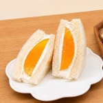 카페 카노푸스
