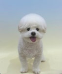 피크몽